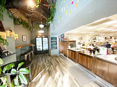 Newton - Healthy Quick Service